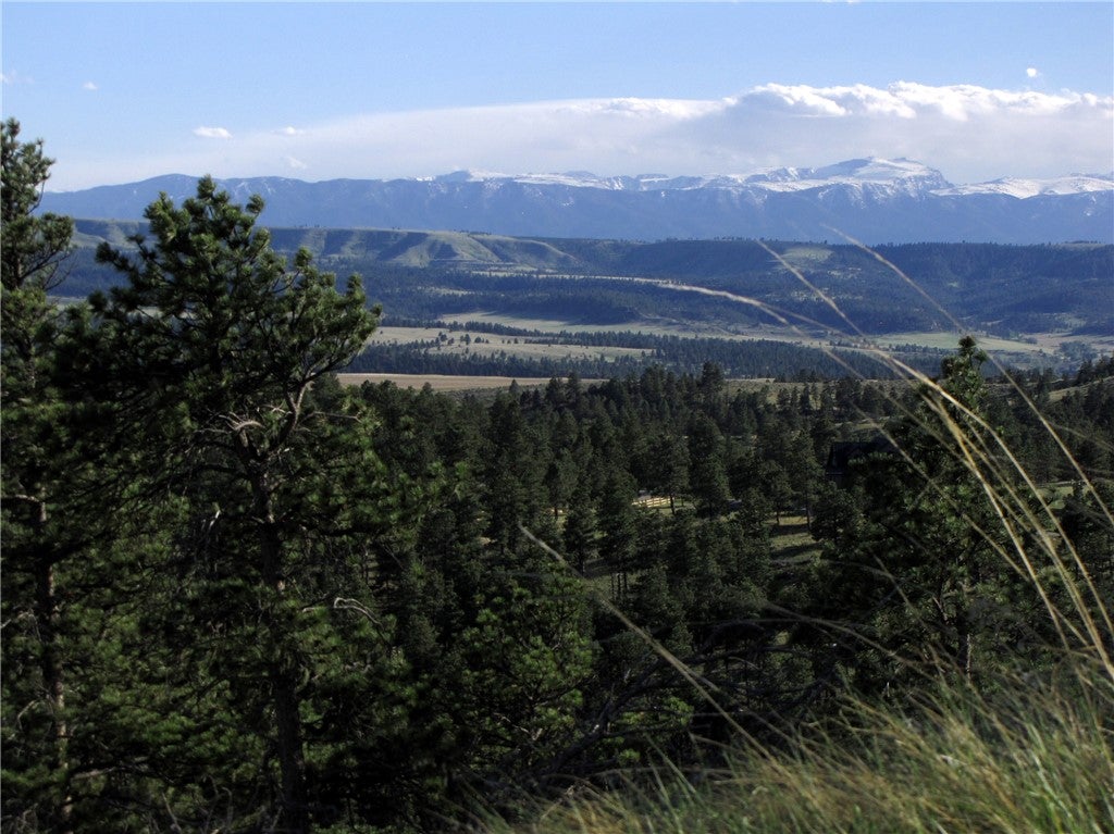 nhn Wild Turkey Ridge Road