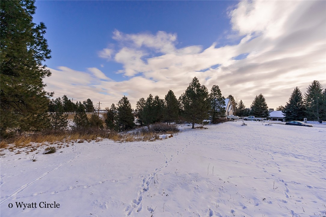 Billings, Montana 59102, United States, ,Land,Active,244768