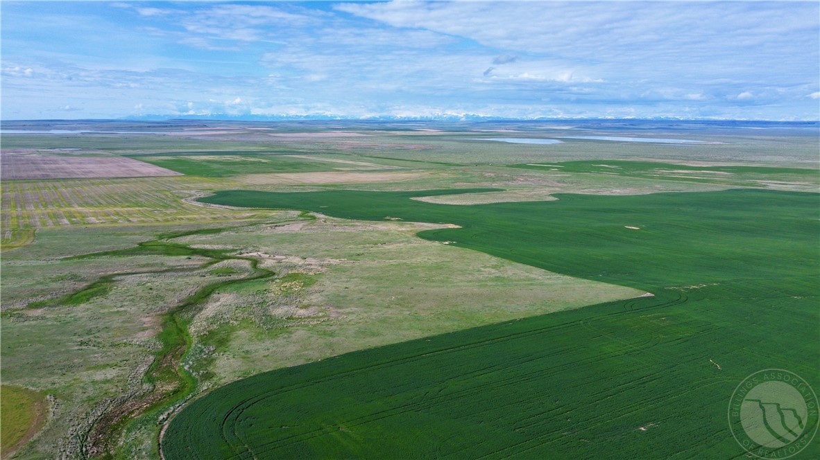 S 320 Acres Molt Rapelje Road