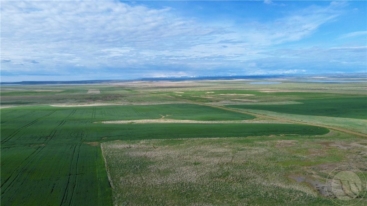 S 320 Acres Molt Rapelje Road