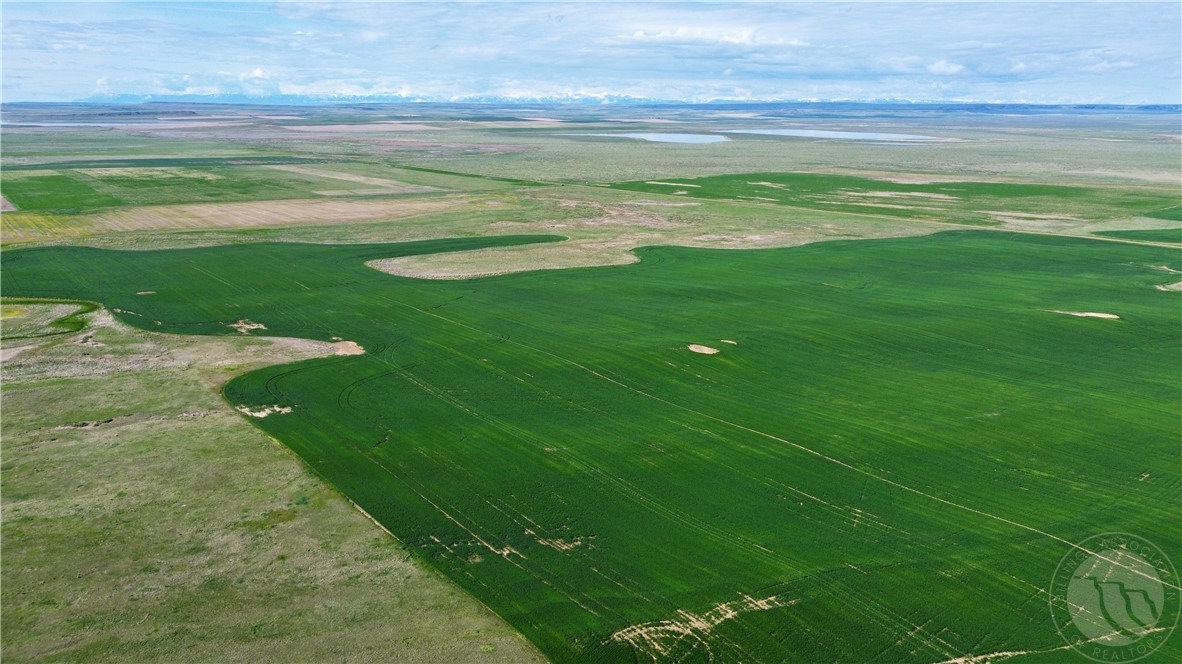 S 320 Acres Molt Rapelje Road