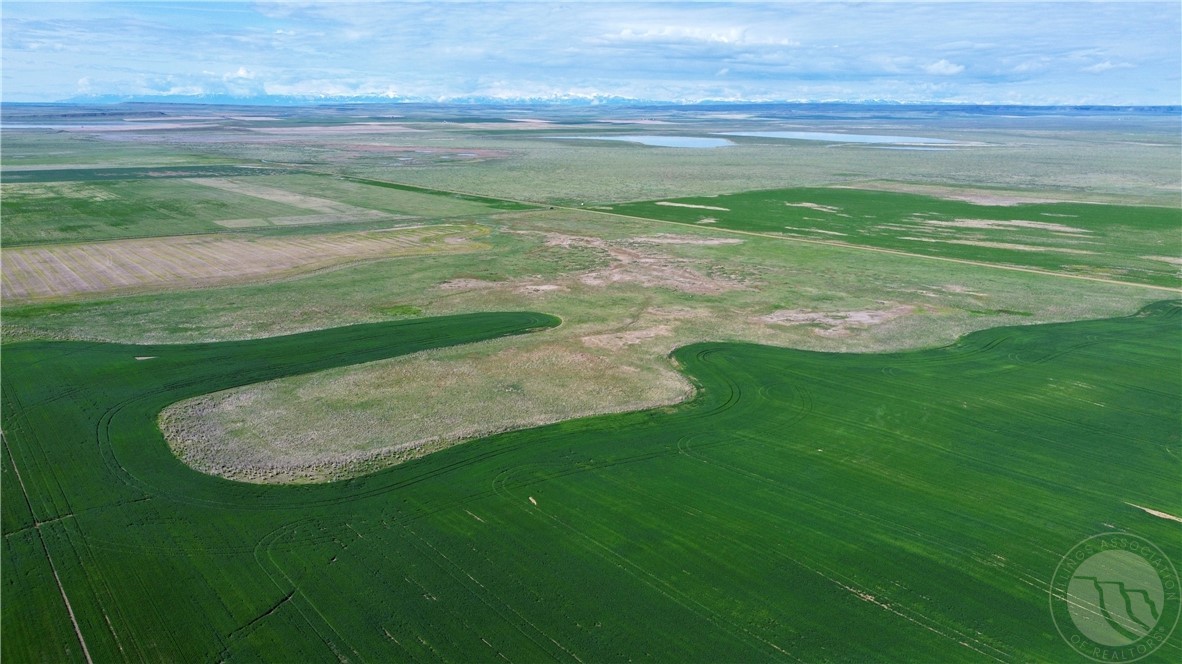 S 320 Acres Molt Rapelje Road