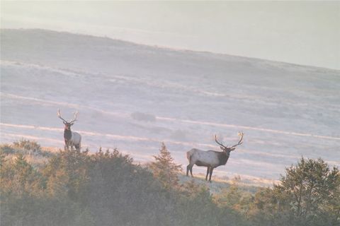 314 Oilfield Road Glendive MT 59326