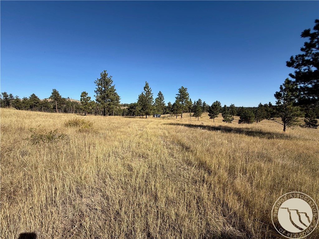 29 Medicine Rock Rd