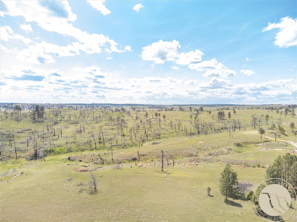 213 Painted Horse Trail