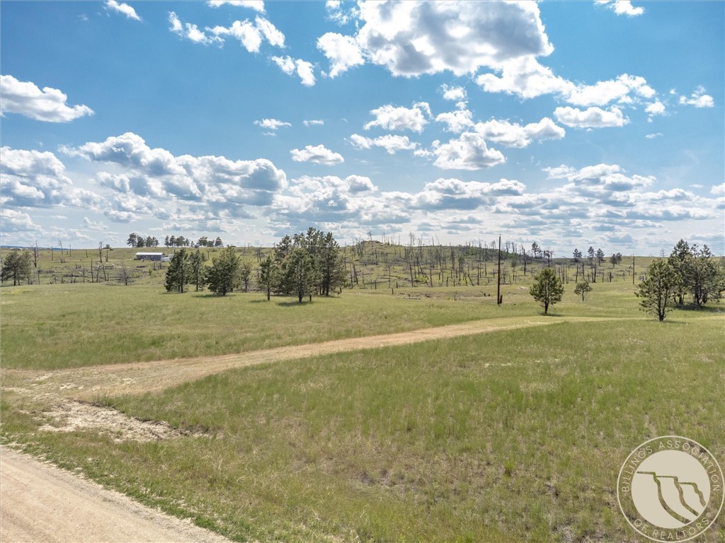 213 Painted Horse Trail
