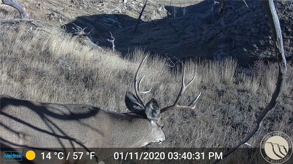 Photo of NHN Lookout Point, Shawmut, MT 59078 (MLS # 356321)