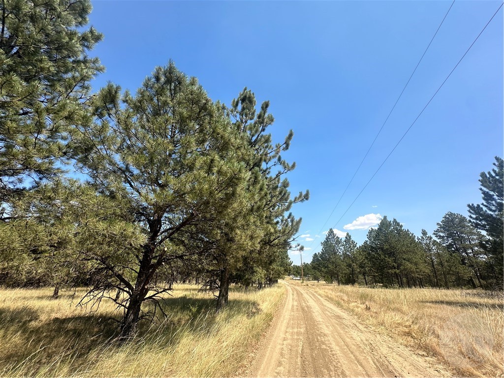 20 Acres Roland Road