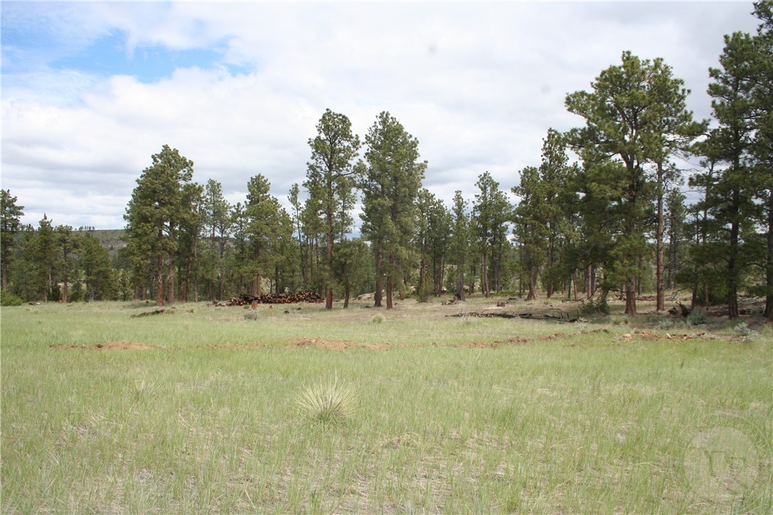 5077 Chief Blacktail Trail