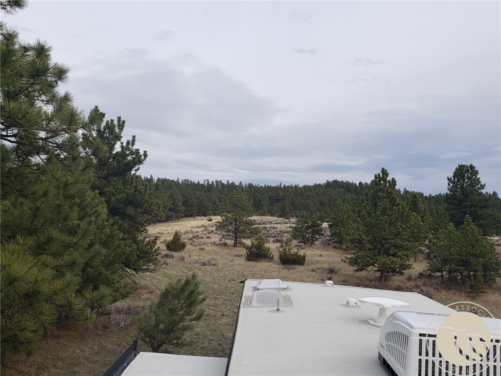 131 Pine Crest