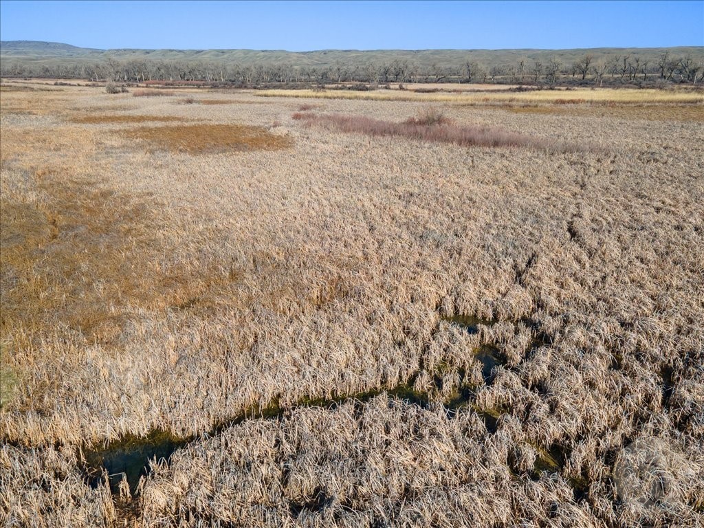 NHN Cottonwood Camp Road