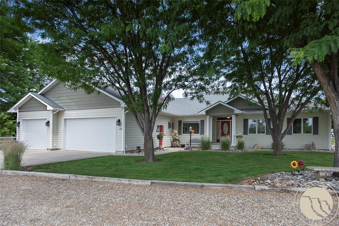 234 Grapevine