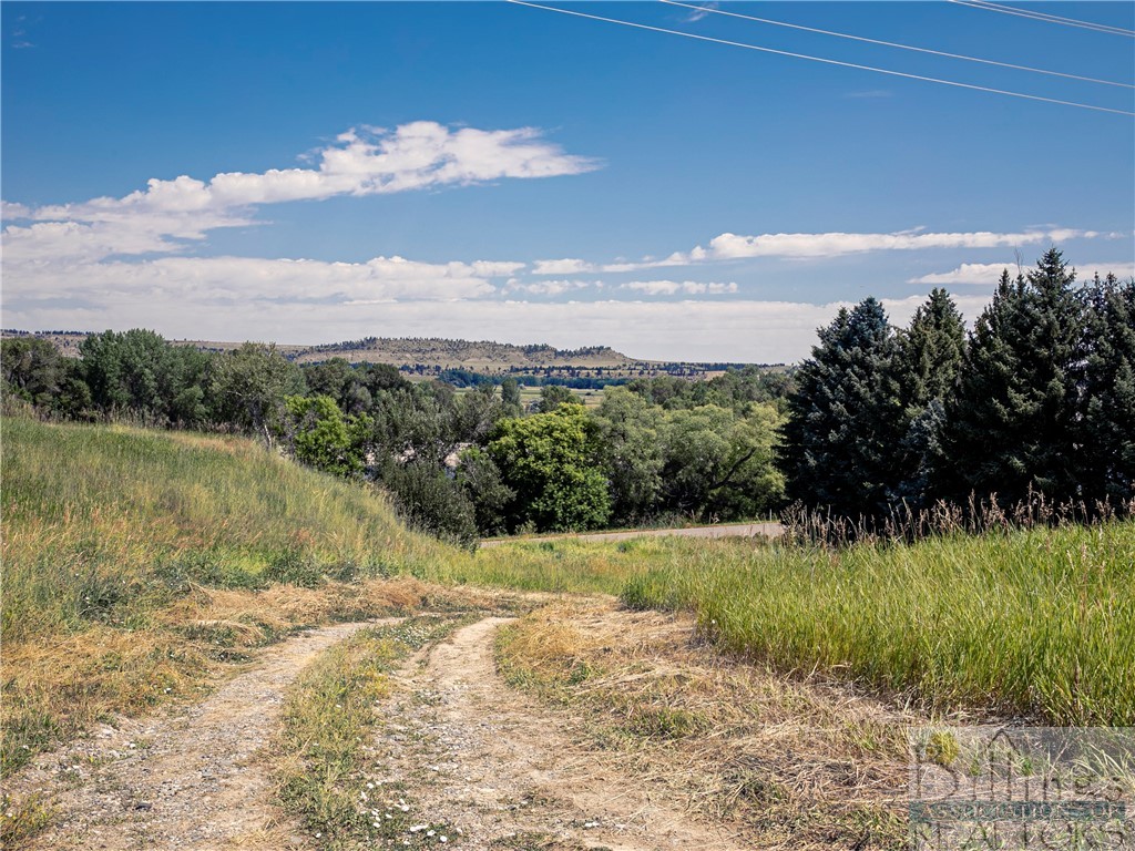 LOT # 4C Joliet Hwy (421)