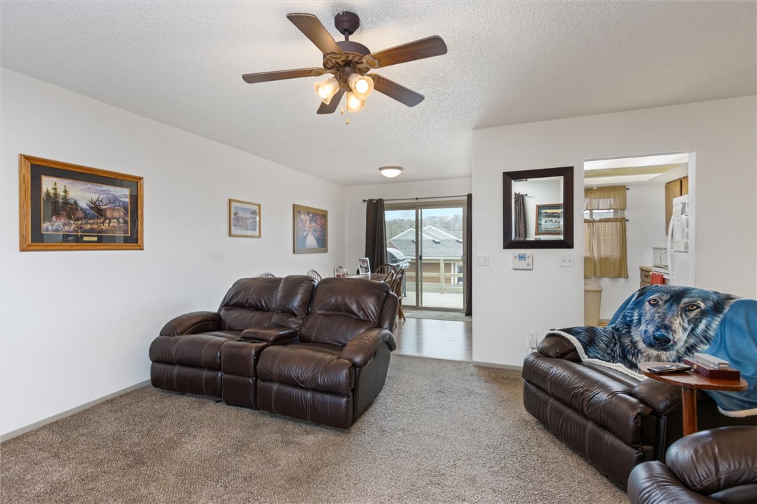 3902 Chamberlain Drive