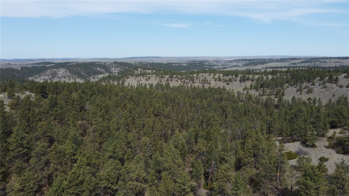 Lot 149 Horse Apple Rd