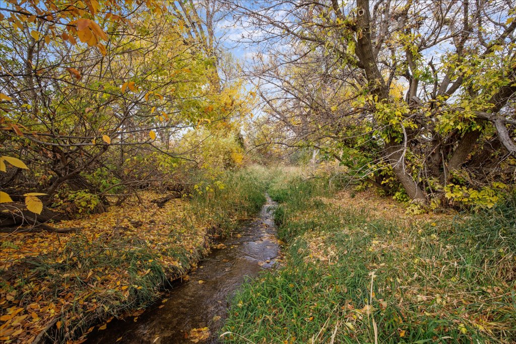 TBD River Road