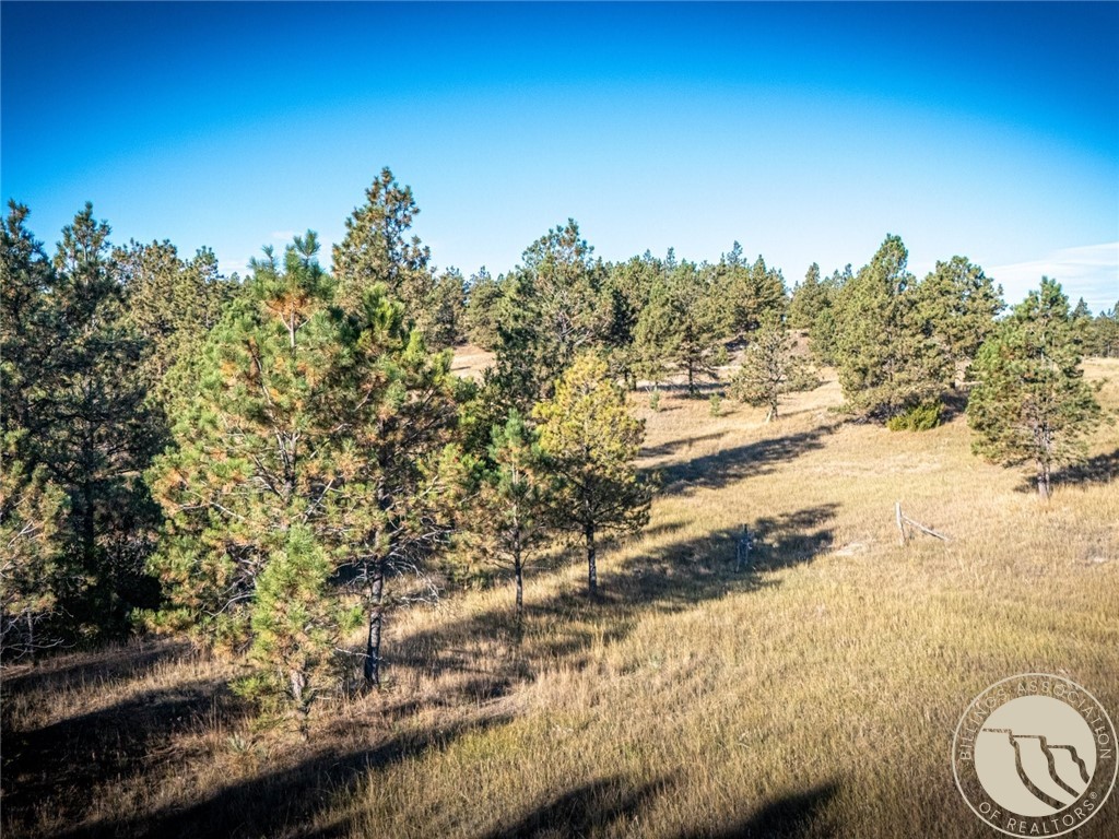 86 Remington