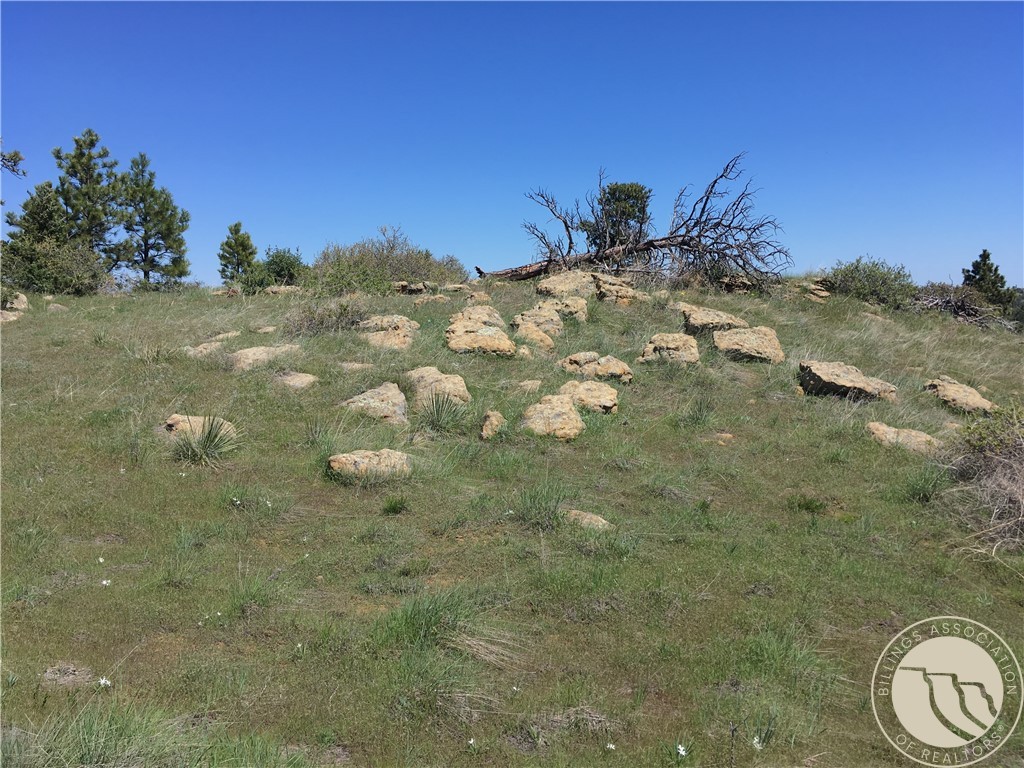 5001 MT HWY 3