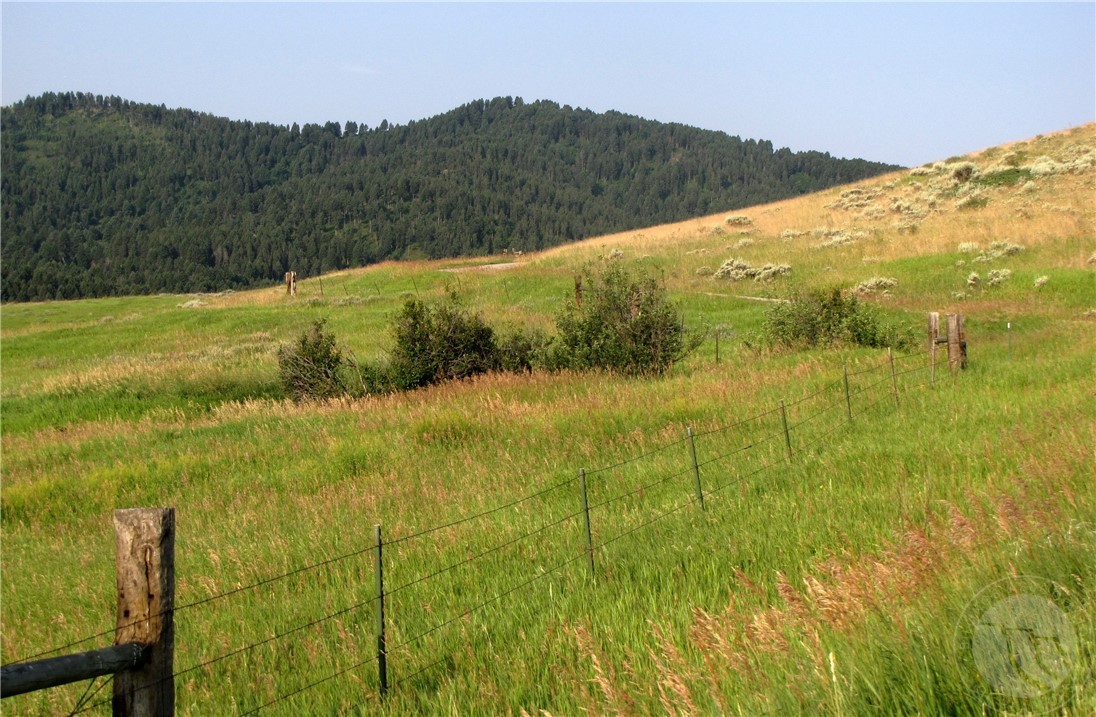 nhn Lupine Lane
