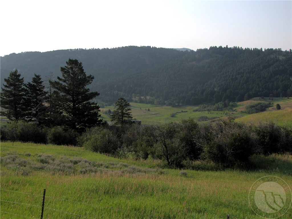 nhn Lupine Lane