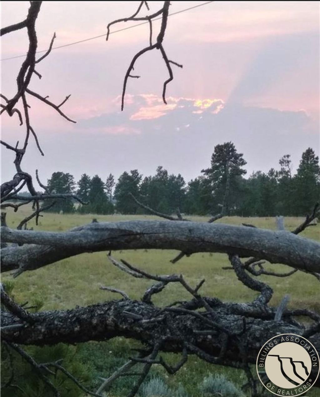 Photo of 647 Majerus Road, Roundup, MT 59072 (MLS # 358597)