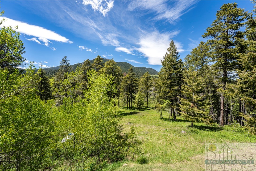 Red Lodge, Montana 59068, United States, 4 Bedrooms Bedrooms, ,2 BathroomsBathrooms,Residential,Contingent,55715