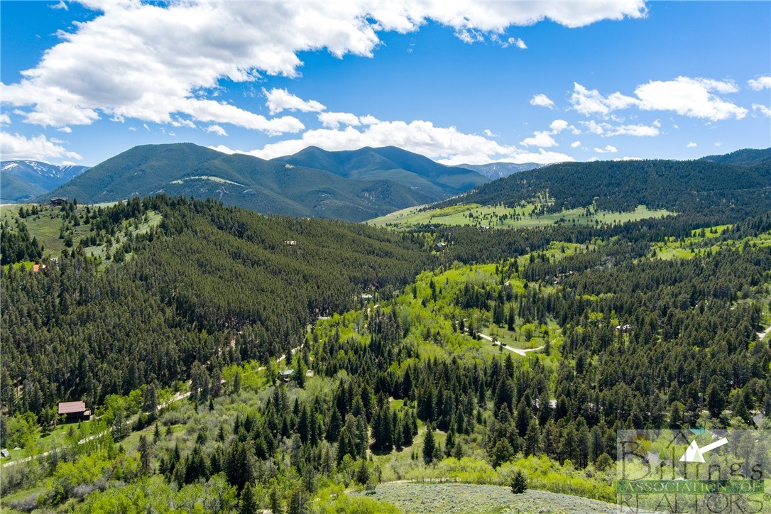 Red Lodge, Montana 59068, United States, 4 Bedrooms Bedrooms, ,2 BathroomsBathrooms,Residential,Contingent,55715