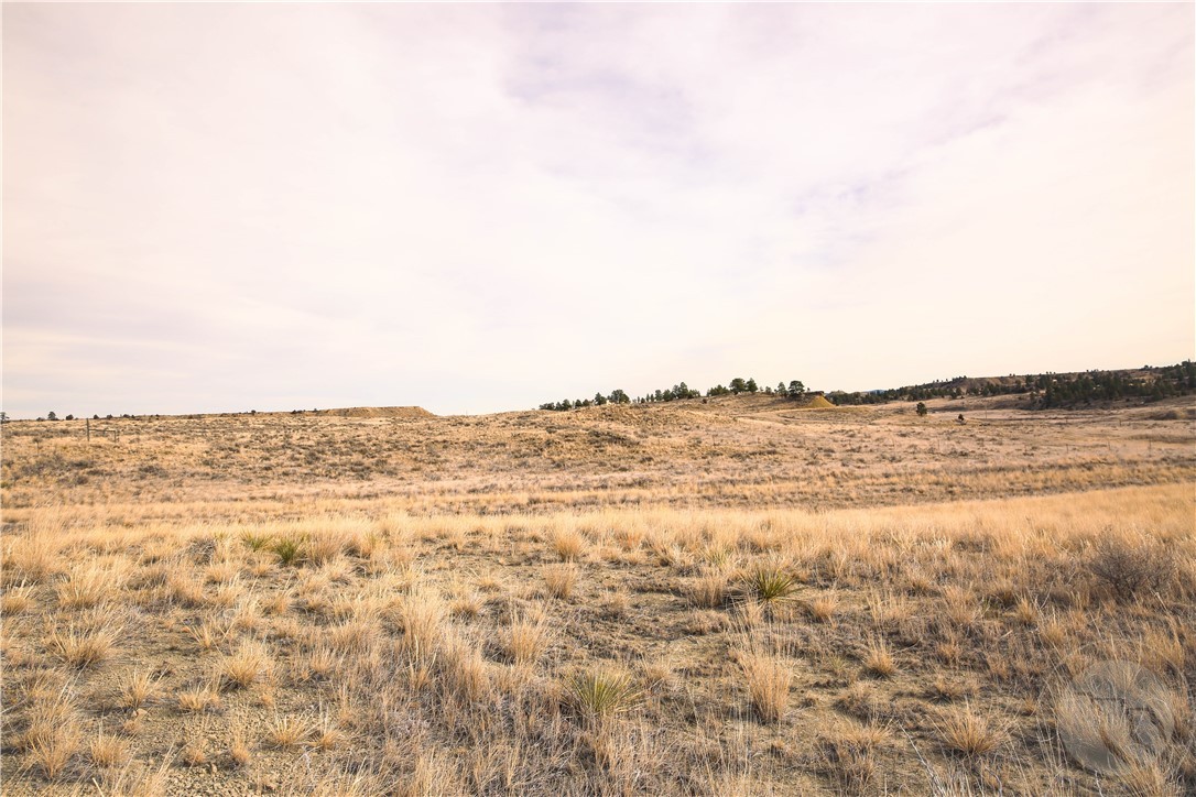 TBD Roundup Mesa Lot #12 Road