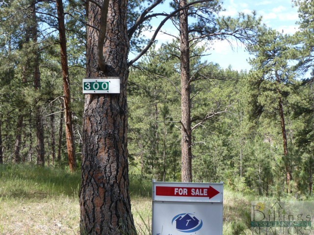300 Skibstad Road