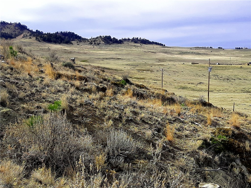 00 Davis Road
