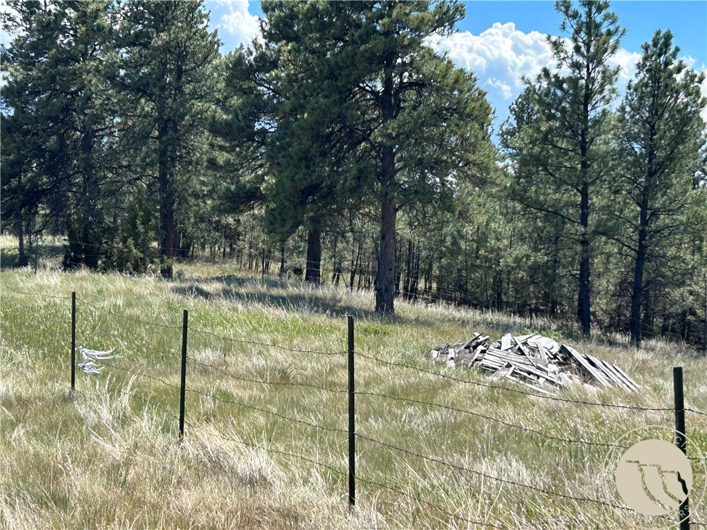 77 Treetop Road