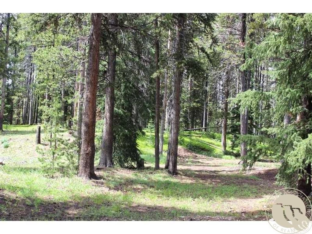 Photo of 3 Cooke Pass Ln Ln, Cooke City, MT 59020 (MLS # 357375)