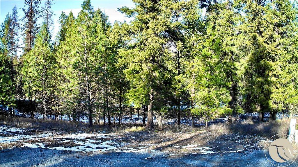 Photo of 2517 Mossy Court, Other, MT 59873 (MLS # 358084)