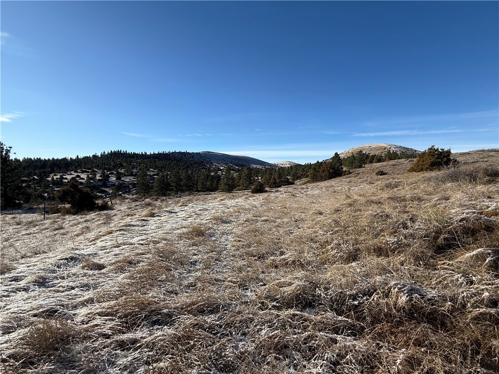 Lot 56 Hearts & Diamonds 2