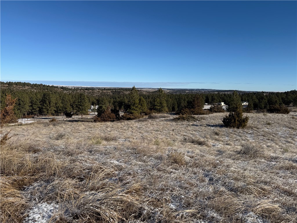 Lot 56 Hearts & Diamonds 2