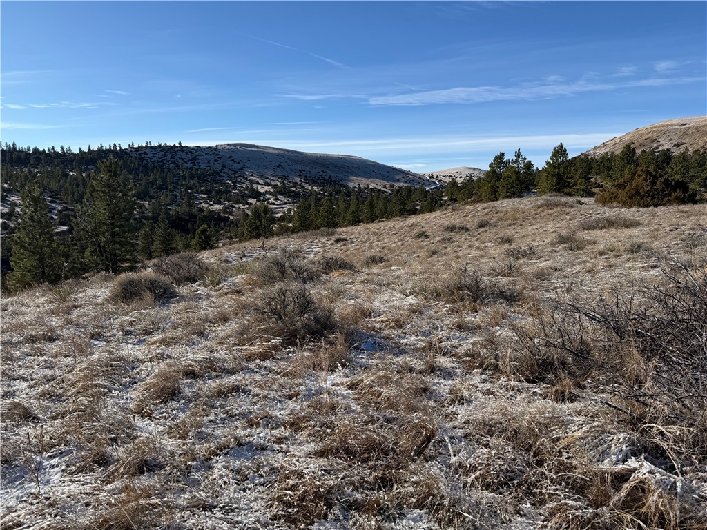 Lot 56 Hearts & Diamonds 2