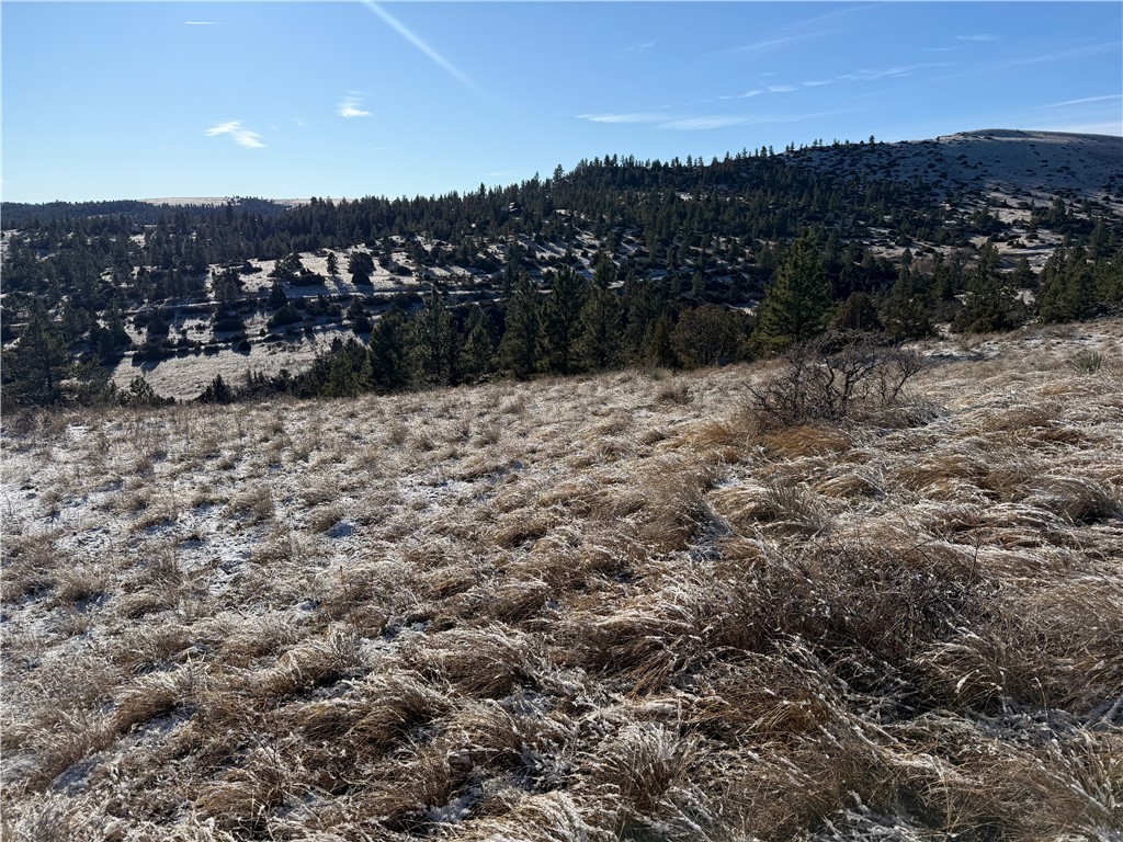 Lot 56 Hearts & Diamonds 2