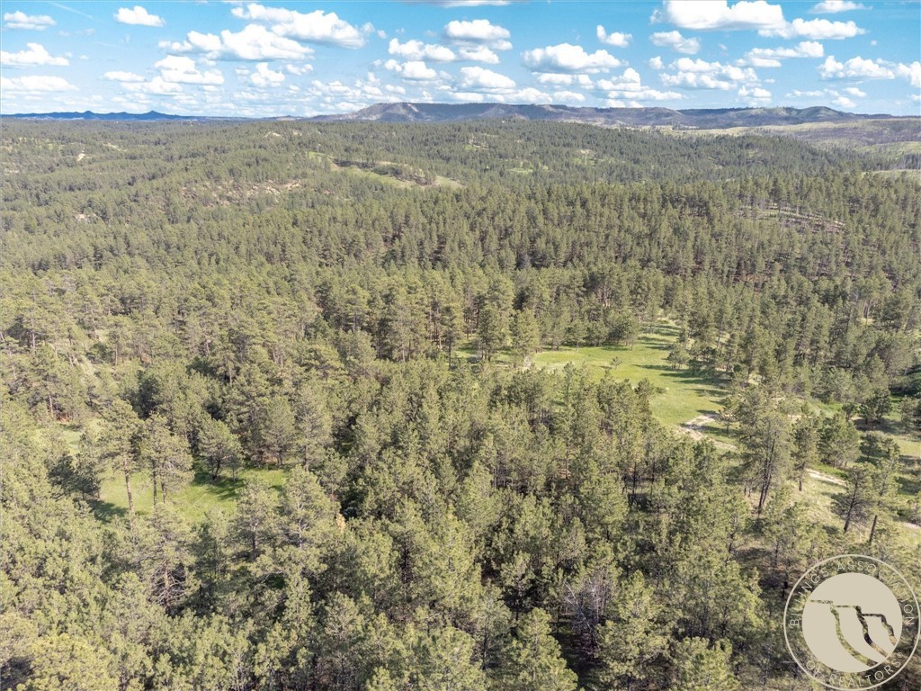 21 Smith Trail