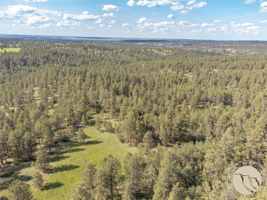 21 Smith Trail