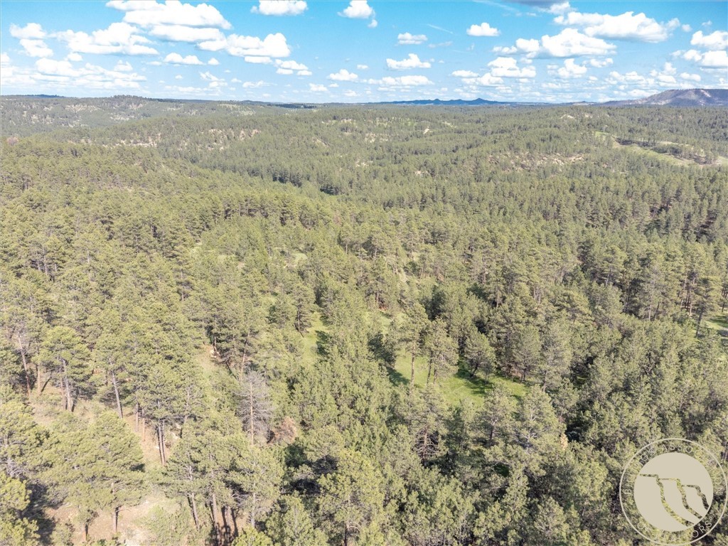 21 Smith Trail