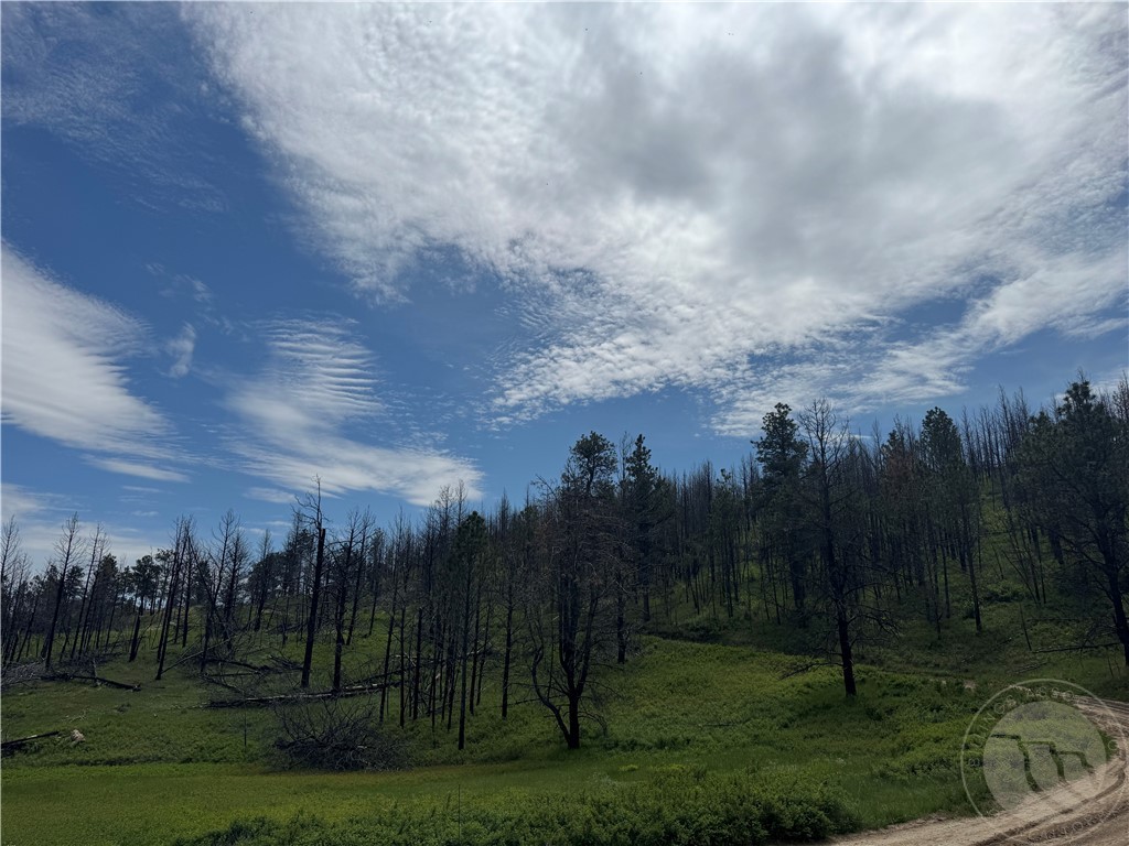 49 Bruner Mountain Road