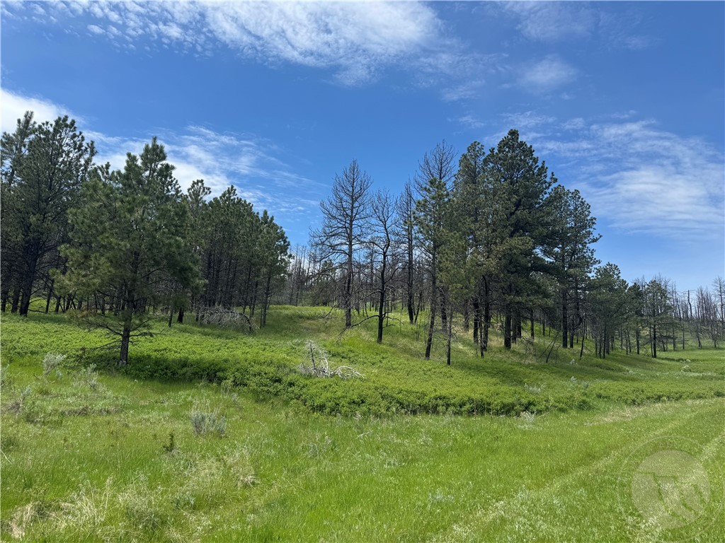 49 Bruner Mountain Road