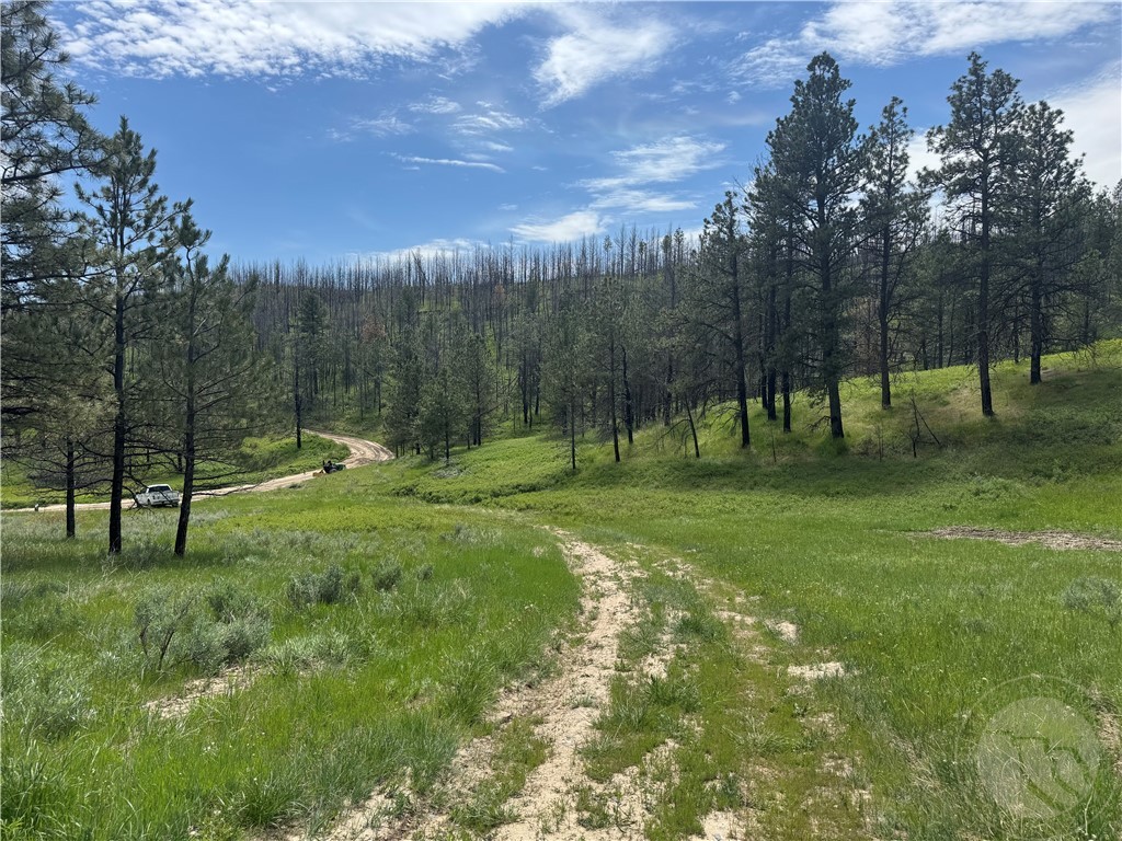 49 Bruner Mountain Road