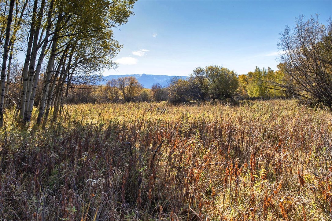 Red Lodge, Montana 59068, United States, ,Land,Active,230928