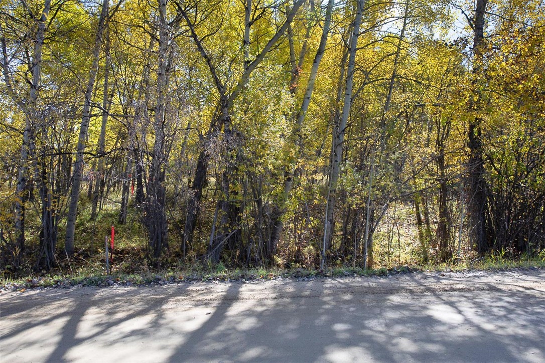 Red Lodge, Montana 59068, United States, ,Land,Active,230928