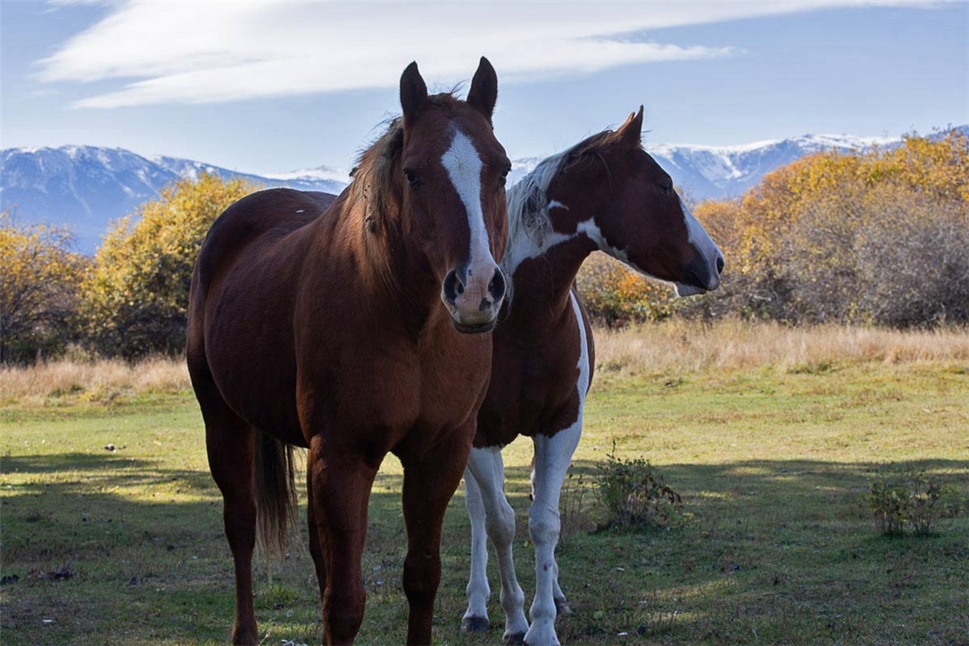 Red Lodge, Montana 59068, United States, ,Land,Active,230928
