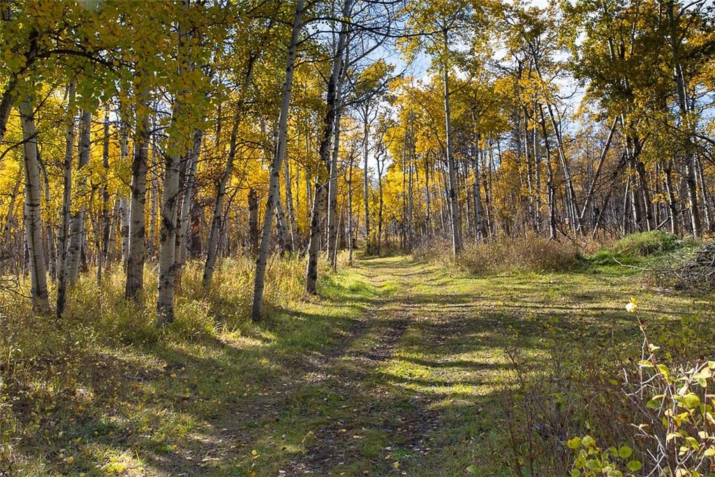 Photo of TBD 14 Ac Lower Luther Road, Red Lodge, MT 59068 (MLS # 356203)