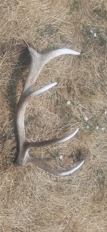 TBD Brumfield RD Brumfield