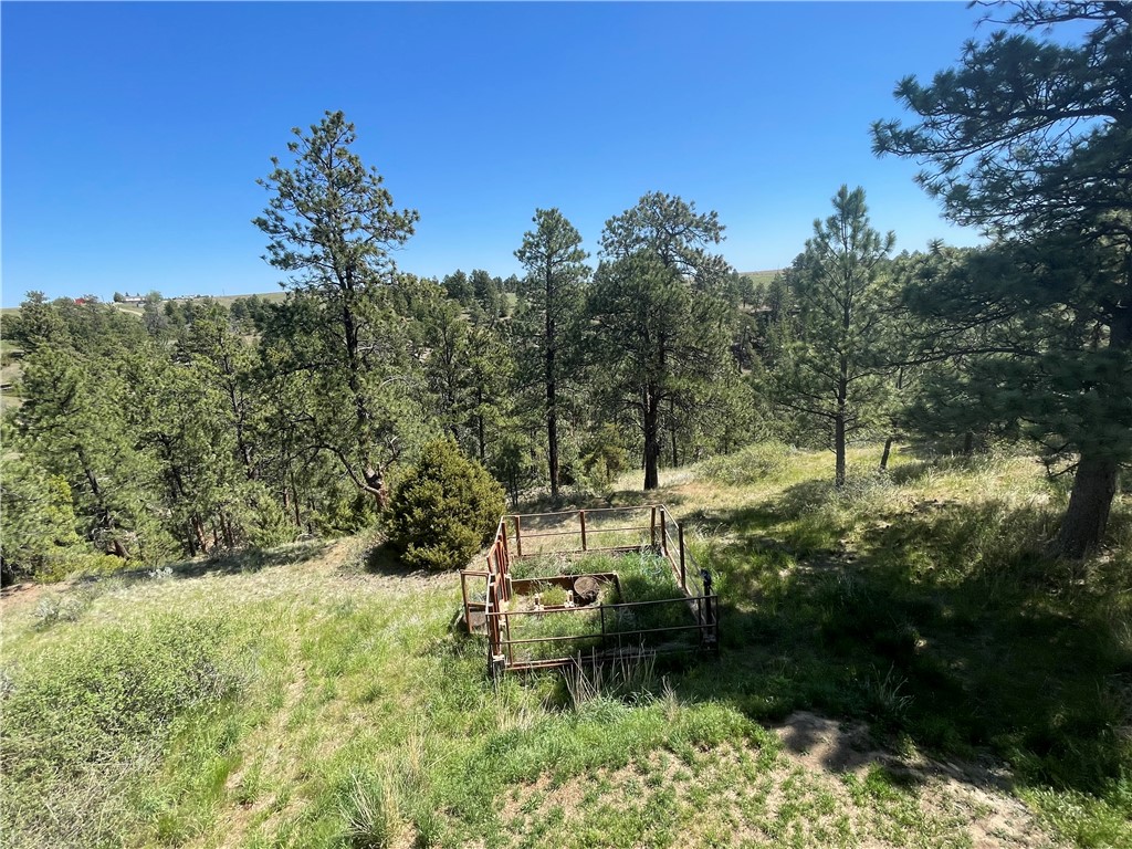 3111 Chief Looking Glass Road