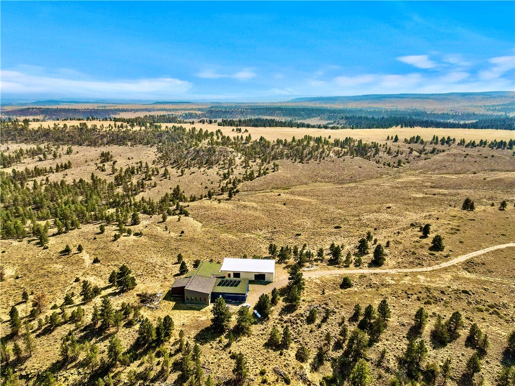 81 Studio Drive
